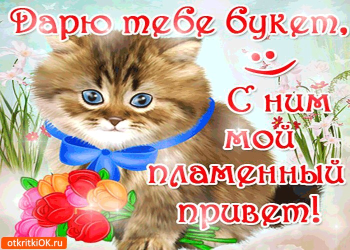 Картинка пламенный привет, а вместе с ним букет
