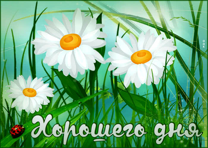 Postcard поразительная открытка с ромашками хорошего дня!
