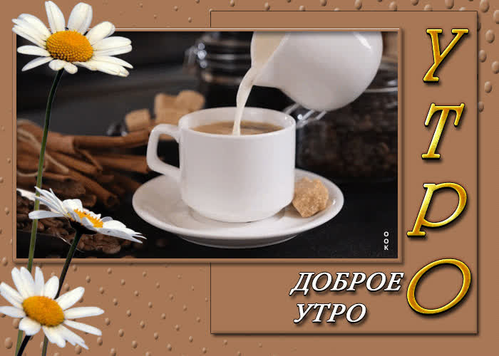 Postcard потрясающе привлекательная гиф-открытка доброе утро
