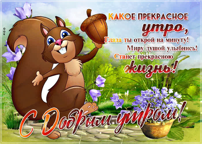 Картинка прекрасная картинка доброе утро