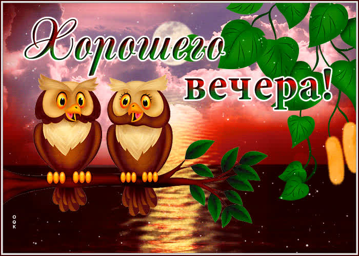 Picture прекрасная открытка с совами хорошего вечера