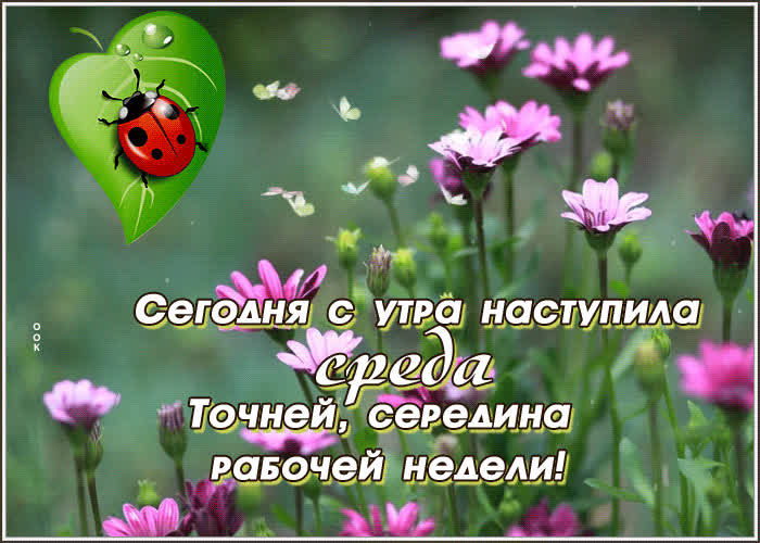 Picture прекрасная открытка среда! середина недели