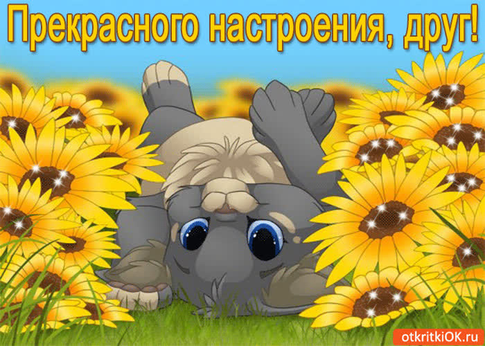 Картинка прекрасного настроения, друг!