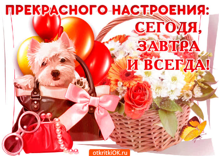 Картинка прекрасного настроения желаю: сегодня, завтра и всегда