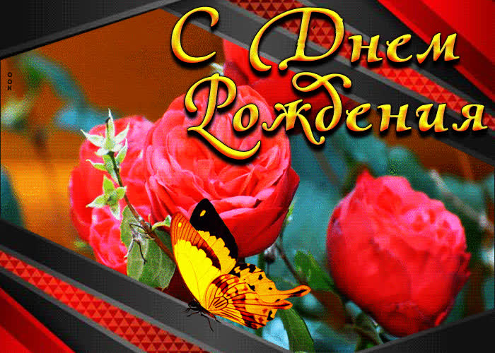 Picture прелестная открытка с днем рождения! с бабочкой