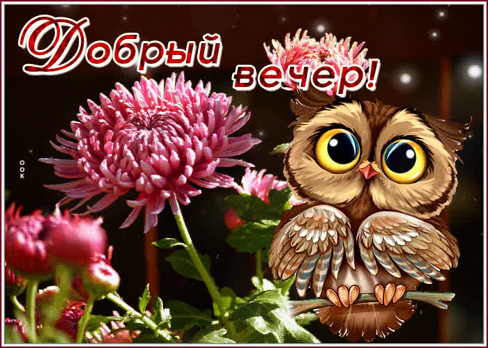 Postcard прелестная открытка с совенком добрый вечер!