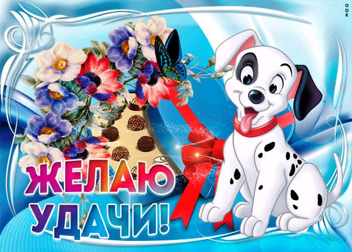 Postcard прикольная открытка с далматинцем желаю удачи!