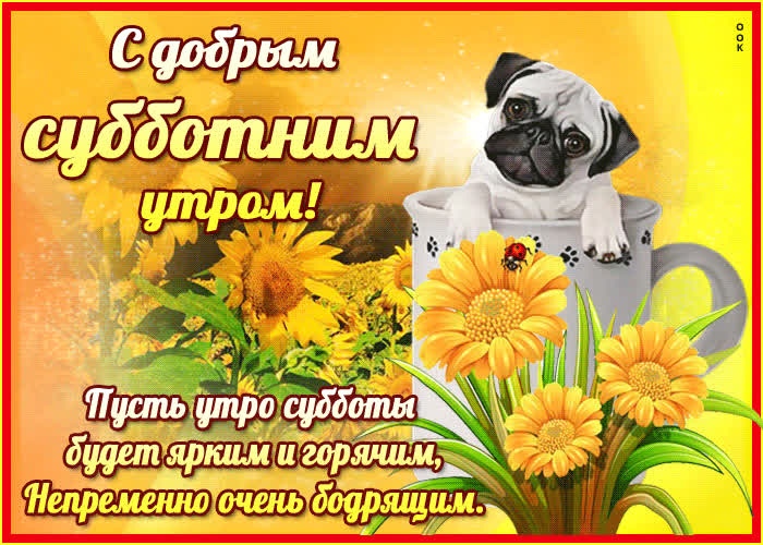 Картинка прикольная картинка с субботой