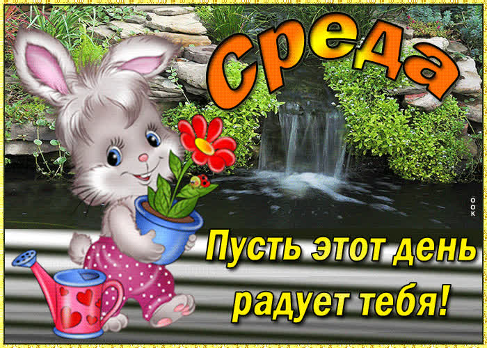 Картинка прикольная картинка со средой