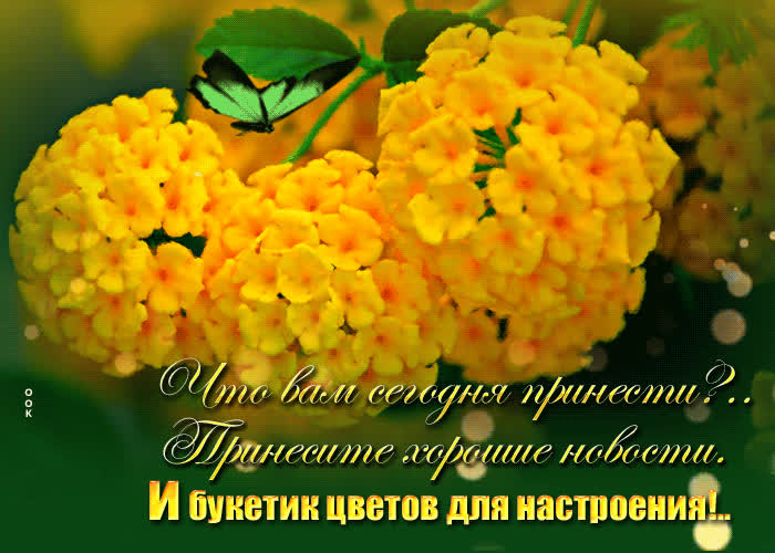 Postcard принесите хорошие новости и букетик цветов для настроения