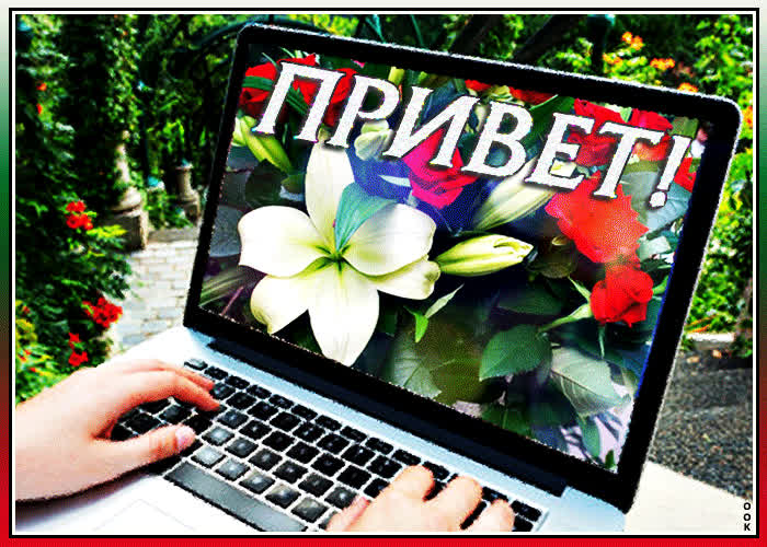 Картинка привет мой друг, как дела