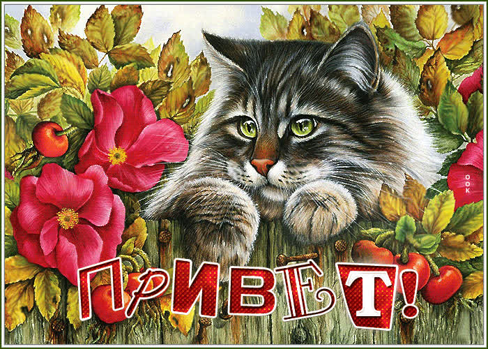 Картинка приветик! хорошего настроения сегодня и всегда