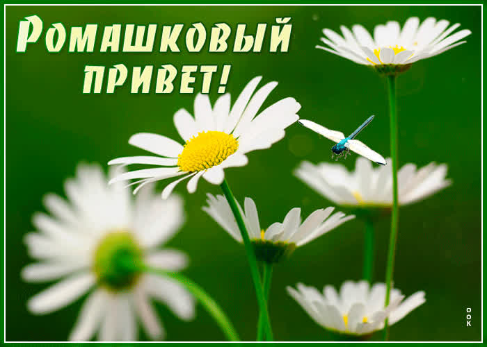 Картинка приветик! пусть будет в жизни всё прекрасно