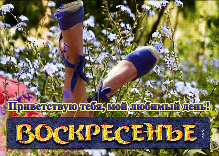 Picture приветствую тебя, мой любимый день! воскресенье