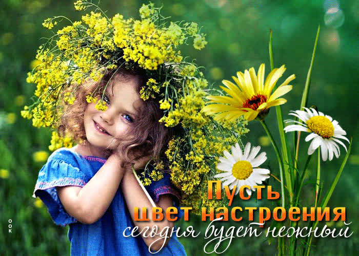 Picture пусть цвет настроения сегодня будет нежный