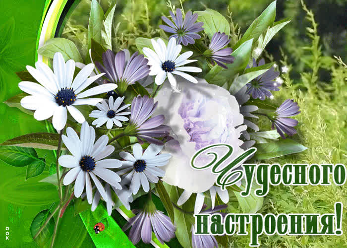Картинка пусть хорошее настроение не покинет вас