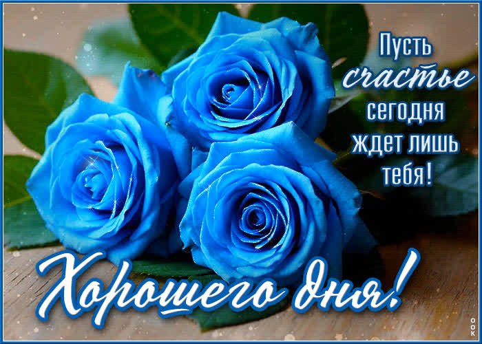 Picture пусть счастье сегодня ждет лишь тебя! хорошего дня