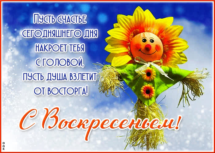 Picture пусть счастье сегодняшнего дня накроет тебя с головой