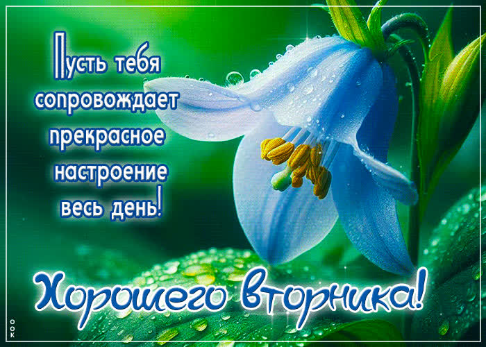 Postcard пусть тебя сопровождает прекрасное настроение на весь день