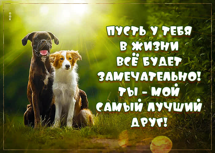 Picture пусть у тебя в жизни все будет замечательно! ты мой самый лучший друг