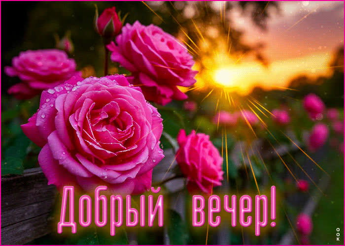Picture радужная и добрая гиф-открытка добрый вечер