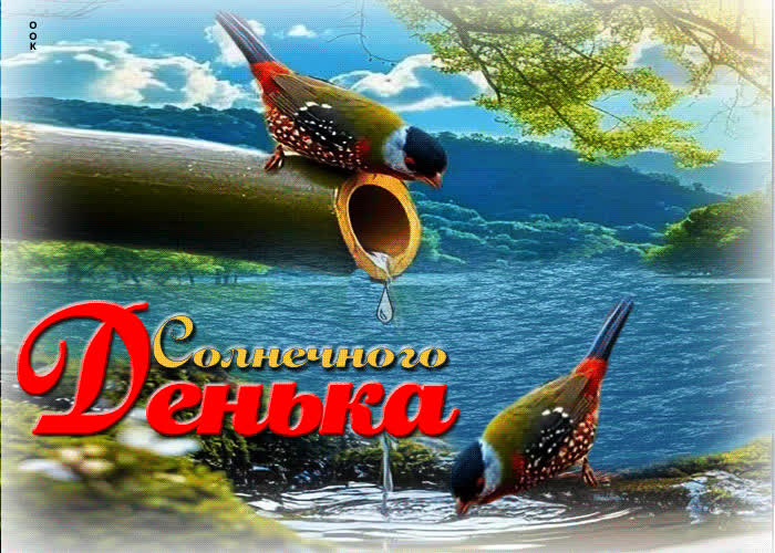 Postcard радужная и ясная гиф-открытка солнечного денька