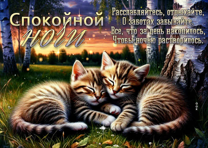 Postcard расслабляйтесь, отдыхайте, о заботах забывайте! спокойной ночи