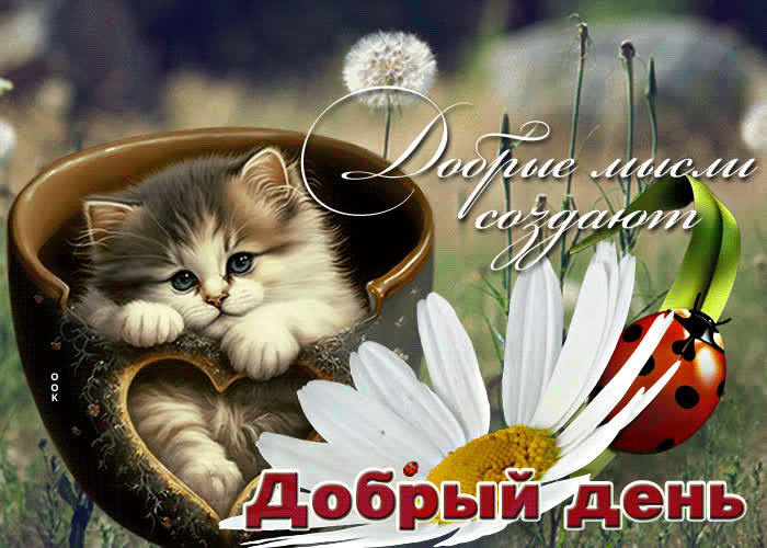 Picture разнообразная гиф-открытка добрые мысли создают добрый день