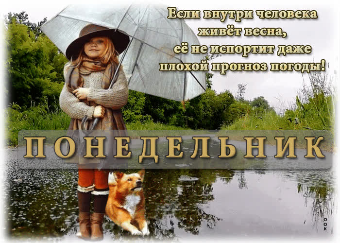 Picture романтичная весенняя открытка понедельник