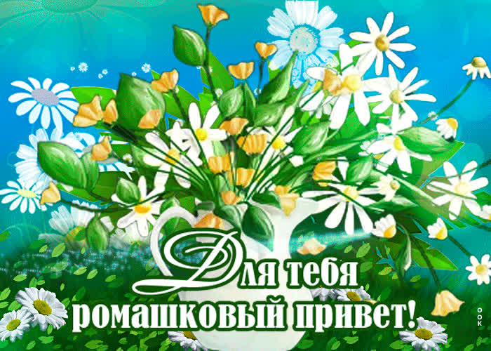Картинка ромашковый приветик