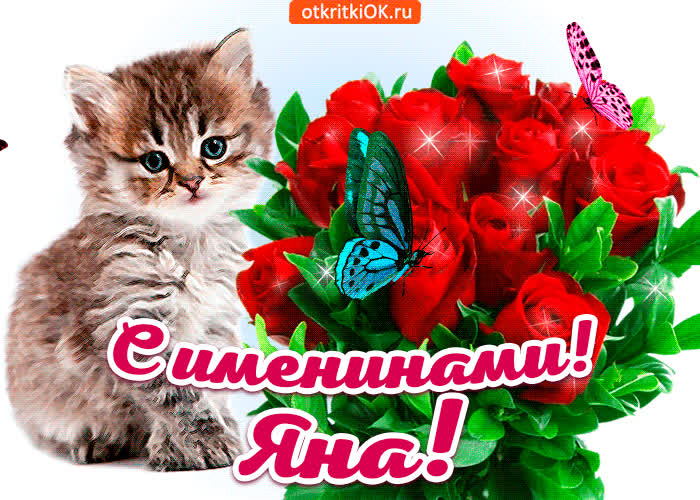 Картинка с именинами яна