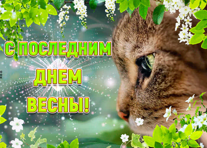 Картинка с последним днем весны