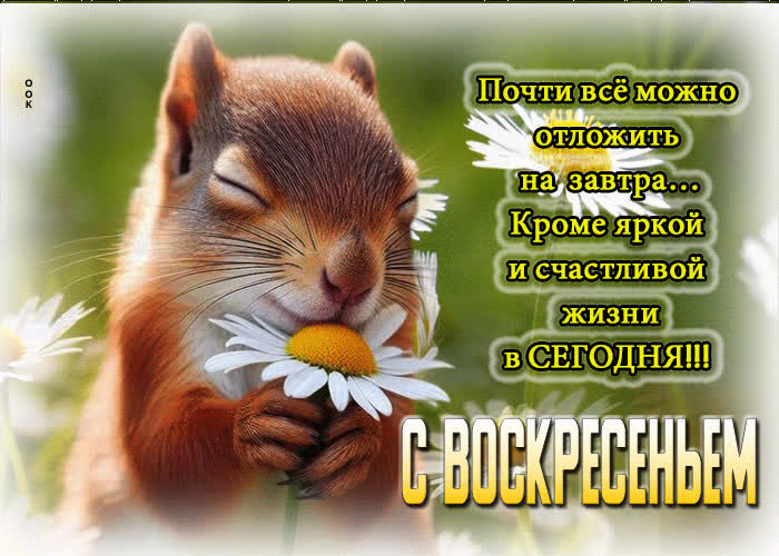 Postcard с воскресеньем! живи яркой жизнью сегодня