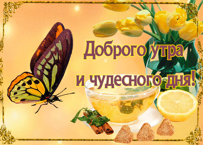 Картинка сегодня красивое утро, с добрым утром