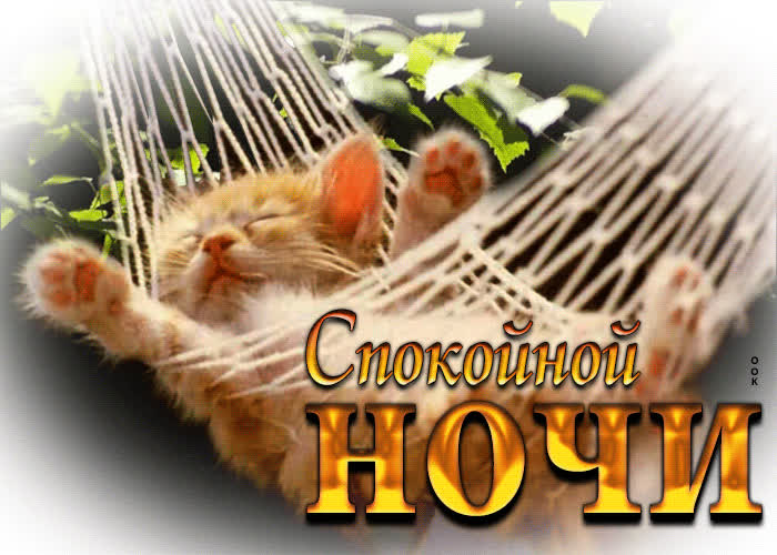 Picture шикарная открытка со спящим котенком спокойной ночи