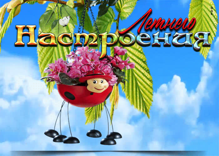Postcard смешная открытка летнего настроения!