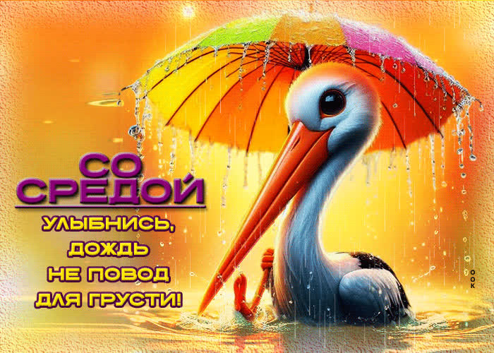 Postcard со средой! улыбнись, дождь не повод для грусти