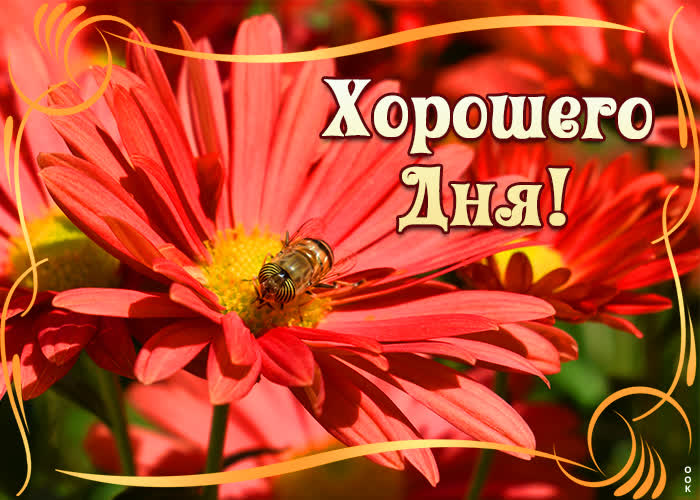 Картинка солнечного дня тебе мой друг