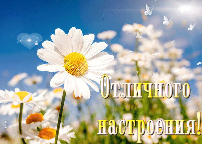 Картинка солнечного настроения вам