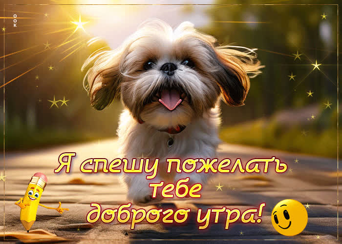 Picture солнечная и игривая открытка я спешу пожелать тебе доброго утра