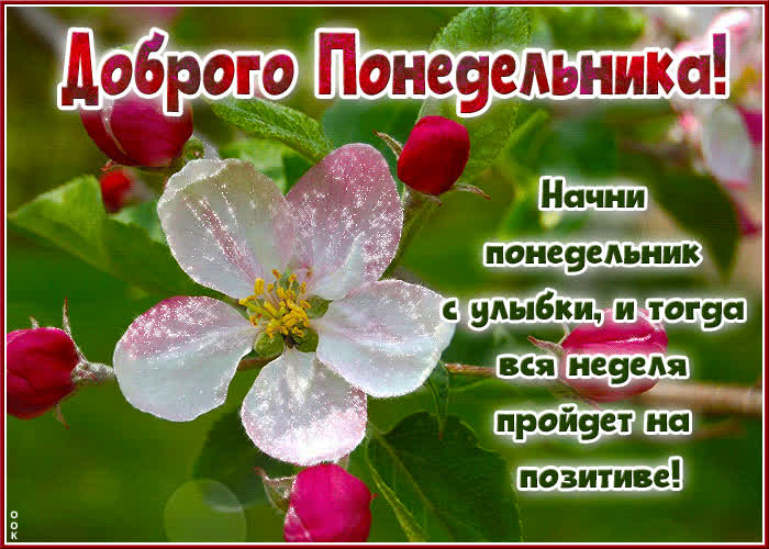 Postcard солнечная и радостная гиф-открытка начни понедельник с улыбки