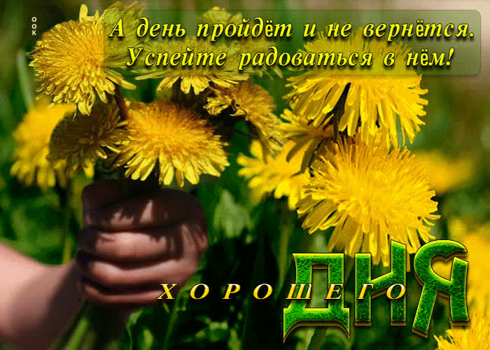 Postcard солнечная открытка с одуванчиками хорошего дня!