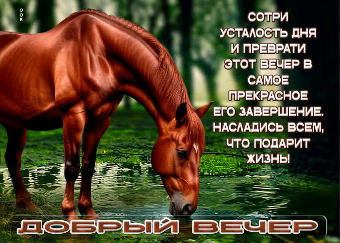 Postcard сотри усталость и преврати этот вечер в самое прекрасное его завершение