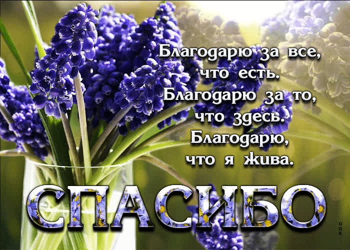 Picture супер открытка благодарю за все, что есть