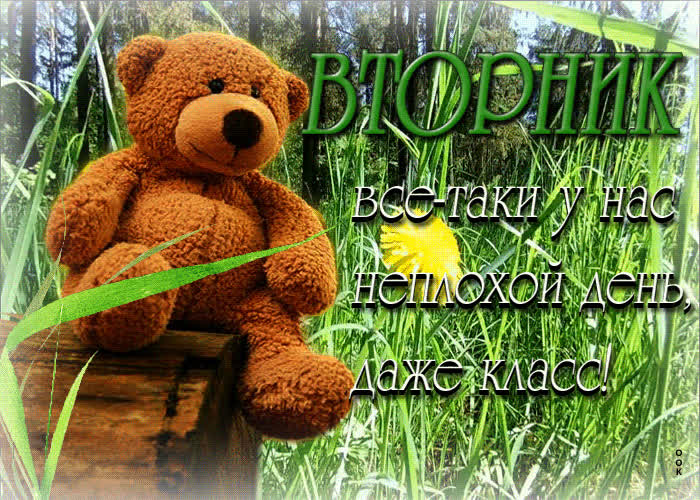 Postcard супер открытка с мишкой вторник - класс!