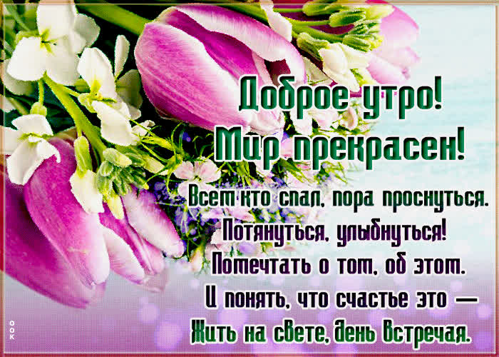Картинка светлая картинка доброе утро с тюльпанами