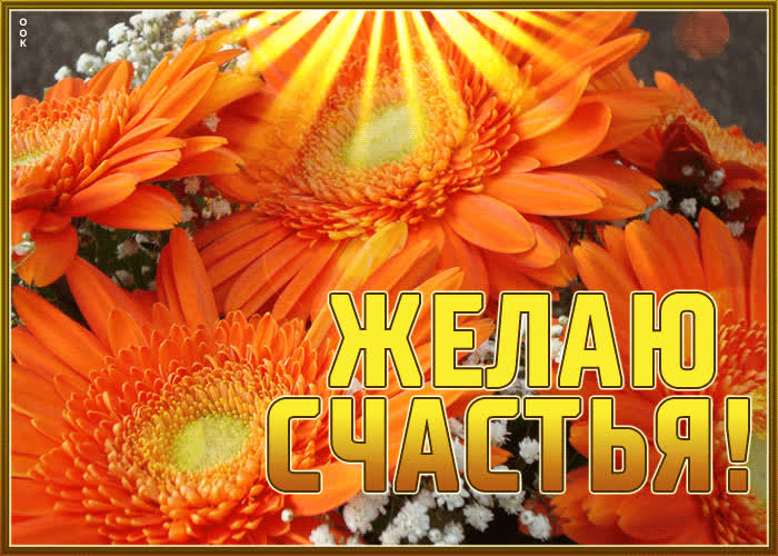 Picture свежая и яркая гиф-открытка с цветами желаю счастья