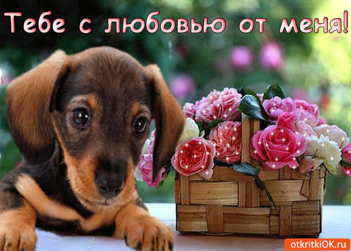 Картинка тебе с любовью от меня!