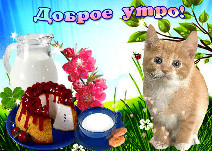 Картинка только позитивных мыслей в это утро