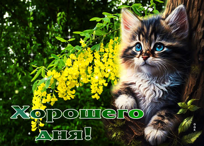 Picture трогательная душевная гиф-открытка хорошего дня